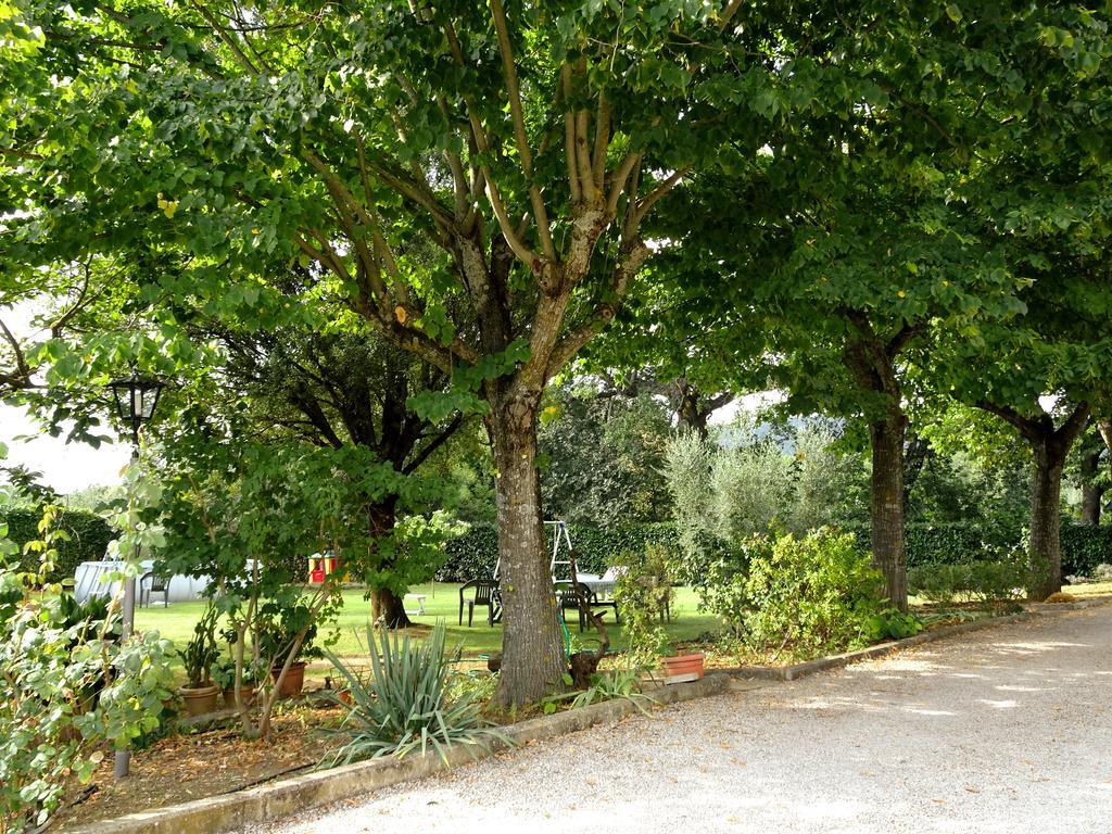 Bed and Breakfast Casa Dina Terontola Экстерьер фото